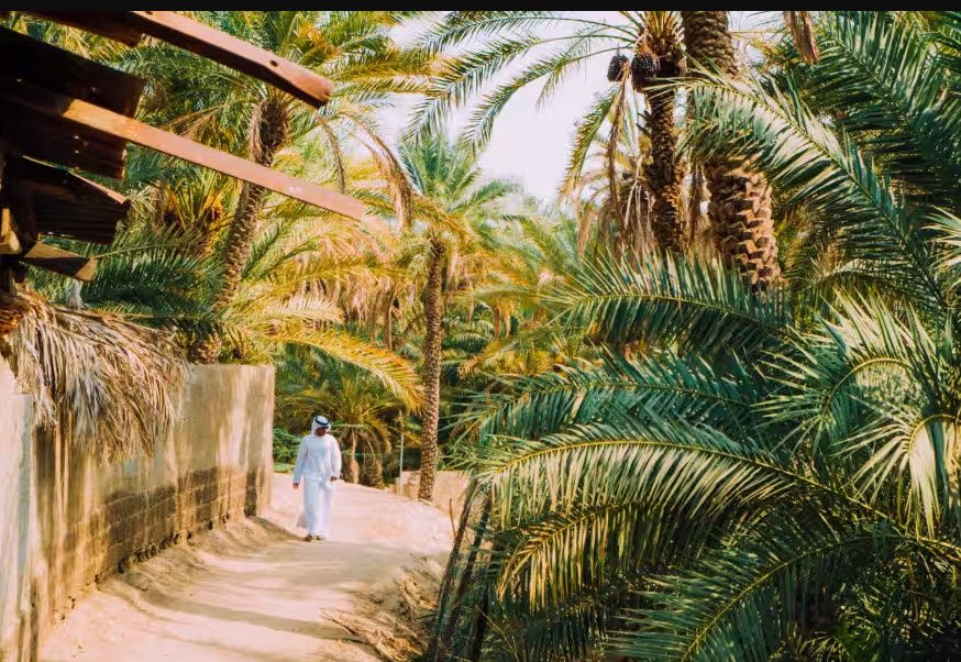 Al Ain Oasis, Al Ain, Abu Dhabi, United Arab Emirates